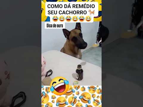 COMÉDIA EM FAMÍLIA #shortsviral #humor #foryou #comedyshorts #comedia #shorthumor #shorts