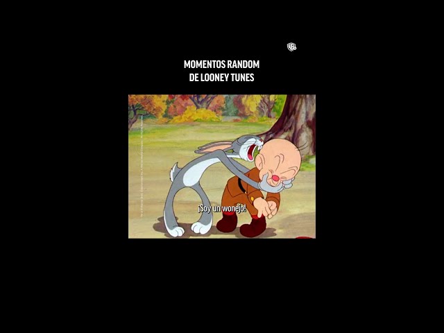 Vídeo relacionado con LOONEY TUNES Coyote Hombre Pijama Multicolor 100% algodón Regular