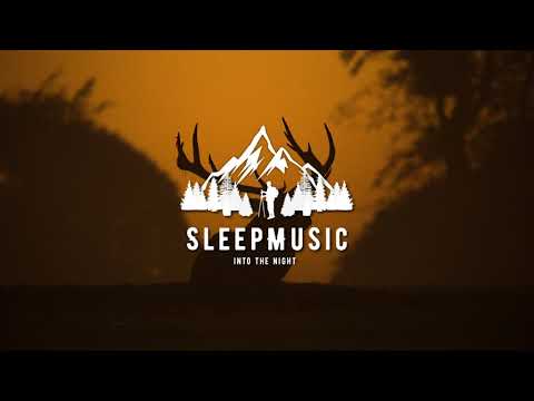 Tim The Lion Tamer - Whistleblower | SleepMusic