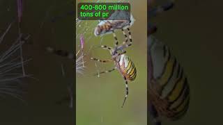 Download lagu Spiders Could EAT US ALL! mp3