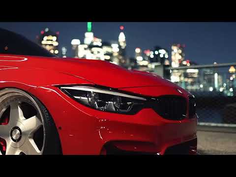 Shane Carty — All I Want Is You