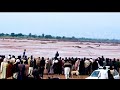 Khargosh Ka Shikar Lila Saroba Pakistan