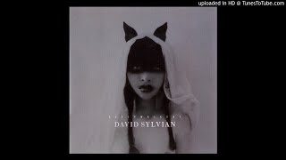 David Sylvian - Five Lines