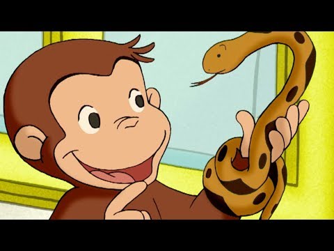 Curious George 🐵The Slithery Day  🐵 Kids Cartoon 🐵 Kids Movies | Videos For Kids