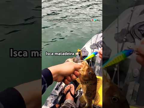 Pescaria em Santa Bárbara MG - São Gonçalo do rio abaixo no Peti #acampamento #pesca #pescaria