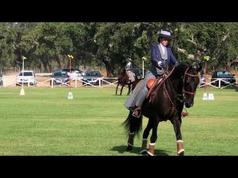 Trofeu APSL - Nicole e Endiabrado