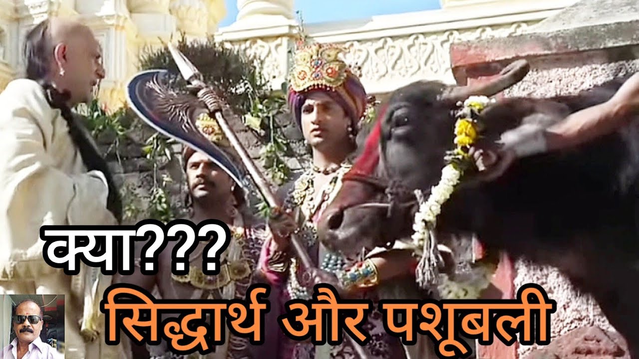 क्या ?? सिद्धार्थ और पशुबलि ll Maharaj Bimbisar   Bane Buddha Ke Anuyaayi ll