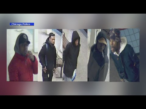 Group attacks, robs rider on CTA Red Line Harrison stop