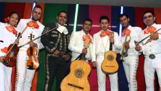 entrega total vicente fernandez cover