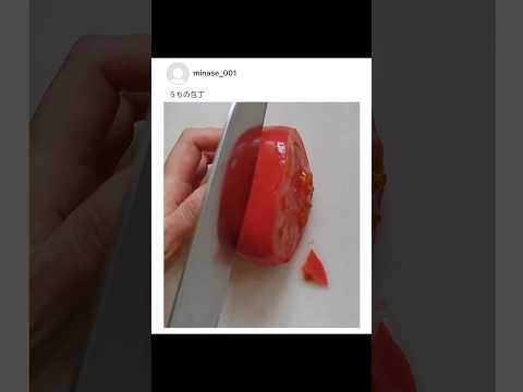 包丁の切れ味がヤバい