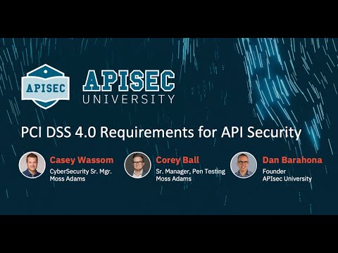PCI DSS 4.0 Requirements for API Security