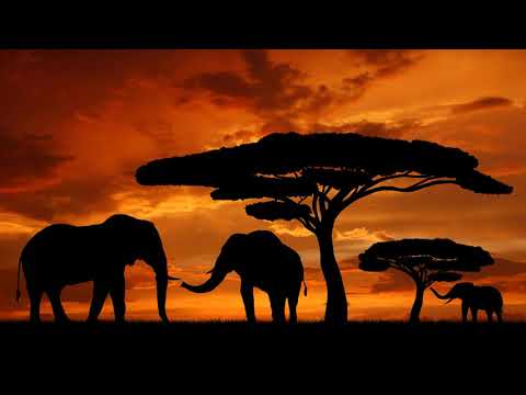 HQ Kirikou & The Sorceress  - Extended Theme Song (Ultra HD 4K 60fps)