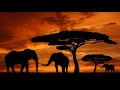 HQ Kirikou & The Sorceress  - Extended Theme Song (Ultra HD 4K 60fps)
