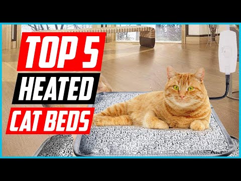 ✅Top 5 Best Heated Cat Beds in 2022