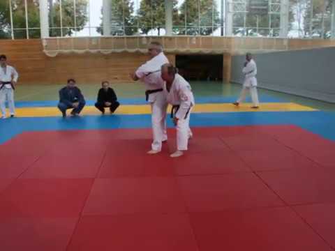 Ju-Jutsu Gegentechniken - Körperstreckhebel