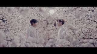 東方神起 / 「サクラミチ」Music Video（Full Version）