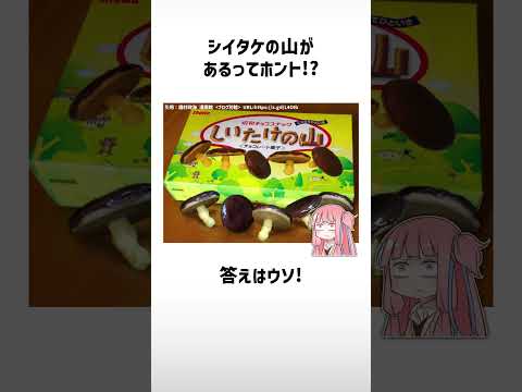 紅葉とアイビー