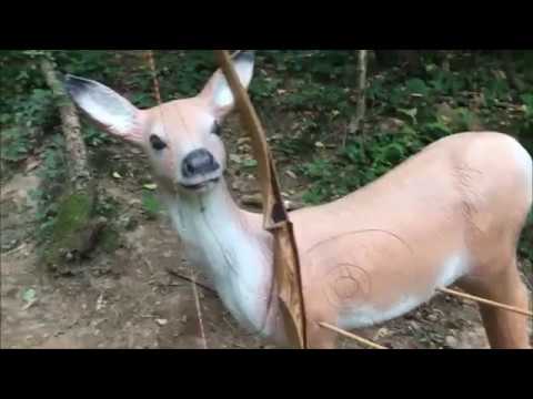 Jagdturnier Sexau 2018 Impressionen von Herry Panzer