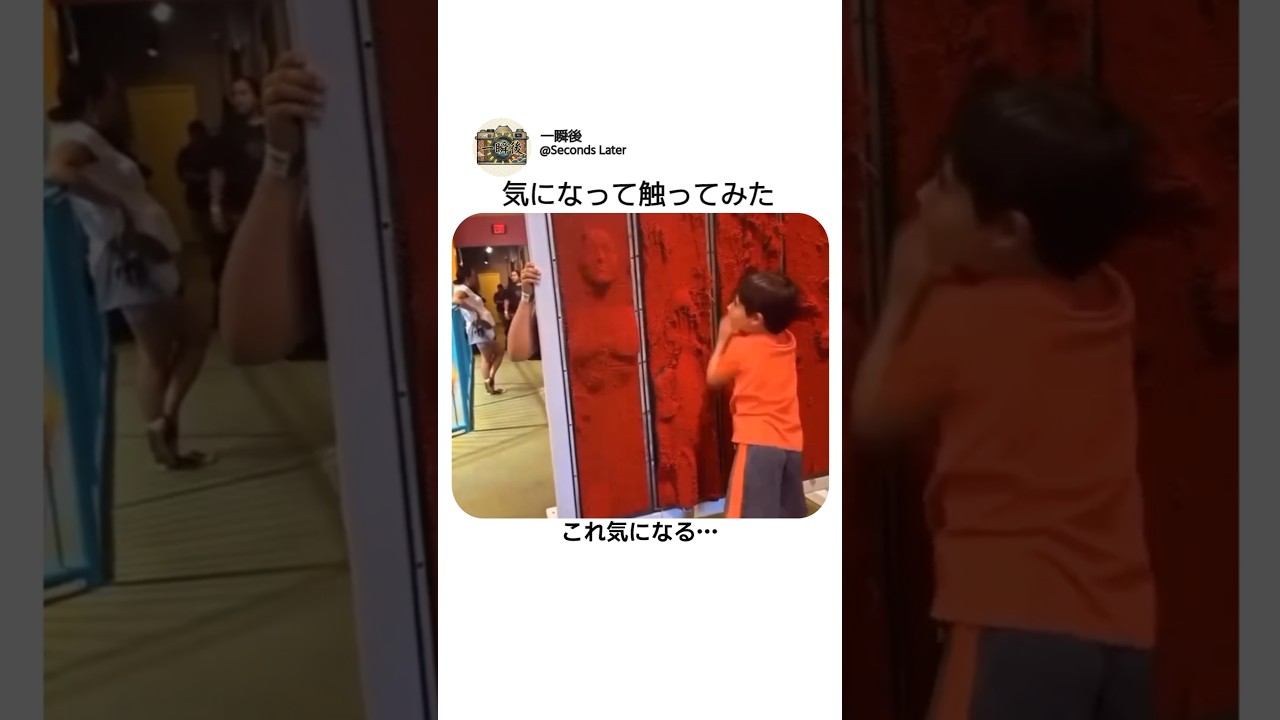 気づいたら触ってるやつ