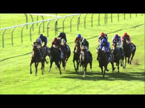 2015 Dubai Fillies Mile - Miding - Racing UK