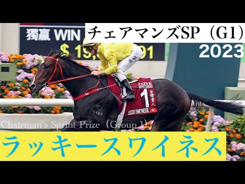 「鮮やかにラッキースワイネス、世界の舞台で速さを証明です」いざ安田記念へ【チェアマンズSP 2023】/ Lucky Sweynesse【Chairman's Sprint Prize 2023】