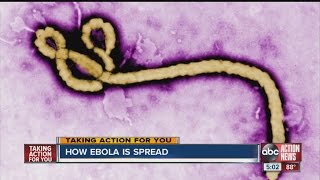 Preventing Ebola from spreading