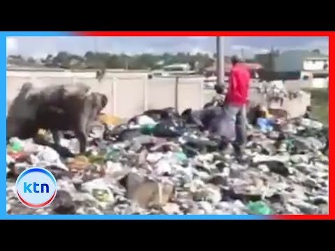 Rais William Ruto amkosoa gavana Sakaja kuhusu hali mbaya ya usafi mjini Nairobi