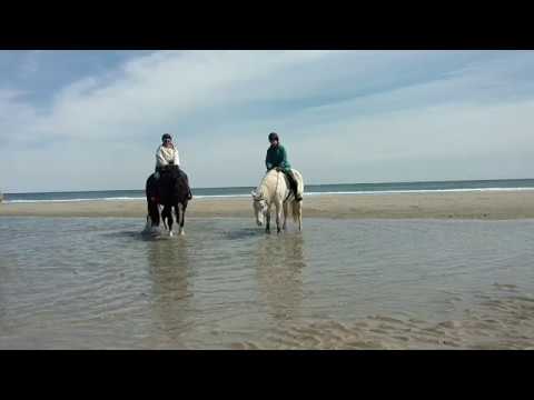 JaFar & Chancellor Splish-Splash Ocean Pond