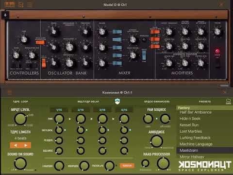 Wind Kosmonaut Minimoog