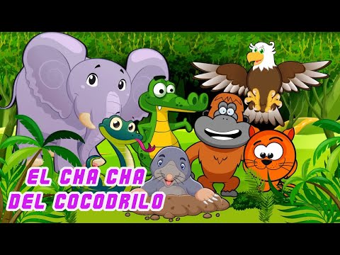 Canciones Infantiles - El Cha Cha Del Cocodrilo | Canti Rondas