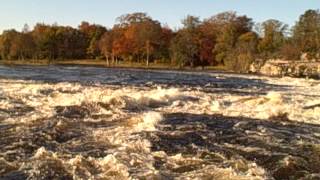 preview picture of video 'Autumn River Tay Campsie Linn Perthshire Scotland'