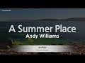Andy Williams-A Summer Place (Karaoke Version)
