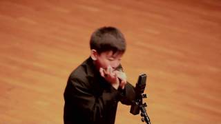 Rhapsody in Blue  (Gershwin)