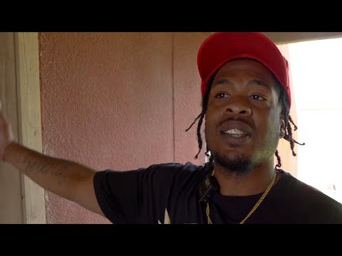 SUNFLOWER BABY: THE RISE OF A SEED PT. 2