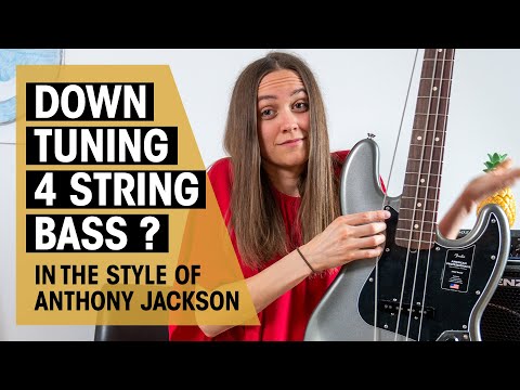 Chaka Khan - Heed The Warning | Anthony Jackson | Thomann