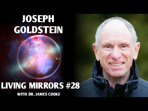 Vipassana & the experience of insight into the mind with Joseph Goldstein | Living Mirrors #28