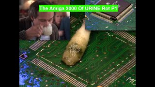 The Amiga 3000 Of Urine Rotted VIAS P1
