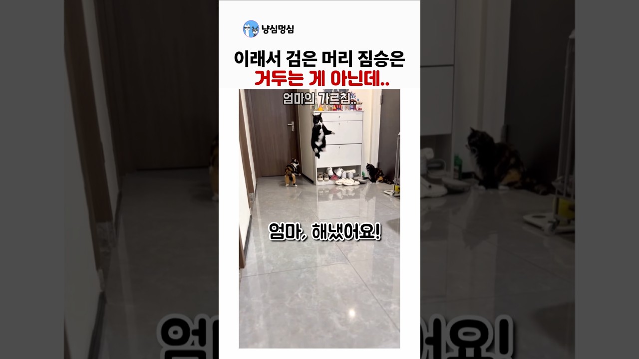 검은 머리 짐승을 함부로 거두면 안 되는 이유