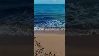Download lagu Ombak Laut yang Damai di Pantai | Video Gratis untuk Latihan Editing | Video Estetika | Unduh Video mp3 Download lagu Ombak Laut yang Damai di Pantai | Video Gratis untuk Latihan Editing | Video Estetika | Unduh Video mp3