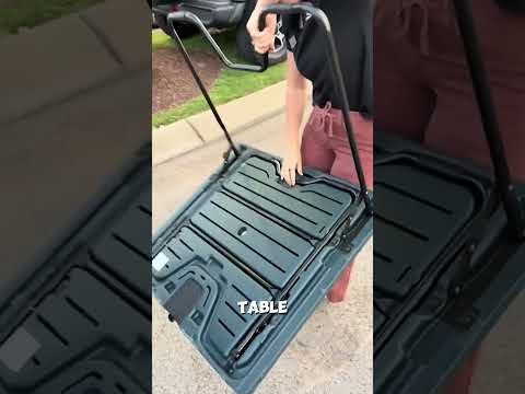 Secret Thing in Honda Car