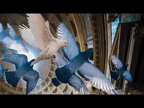 La clemenza di Tito | Einführungsmatinee