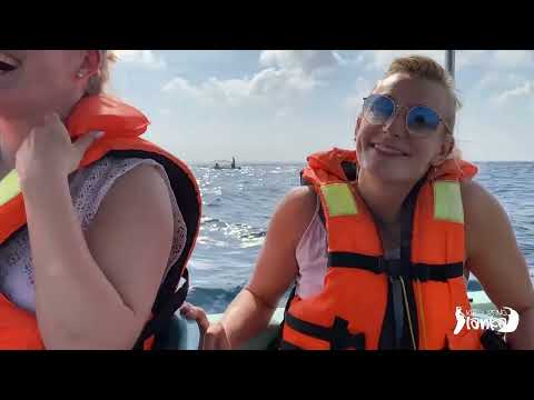 Pole Dance Camp in Kitesurfing Lanka