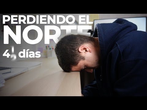 Perdiendo el Norte | MIR 2024