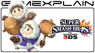 Ice Climbers Glitch in Super Smash Bros. 3DS
