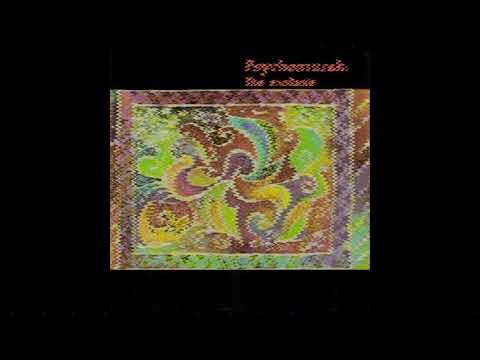 Psychomuzak - The Extasie (Full Album)