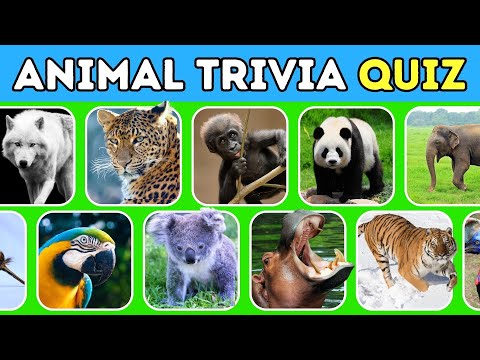 Animal Trivia Quiz 🐾 50 Quiz Questions and Answers about Animals