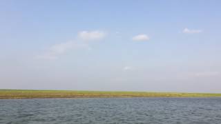 পদ্মা নদী, চরভদ্রাসন, ফরিদপুর