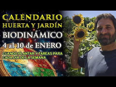 Video relacionado