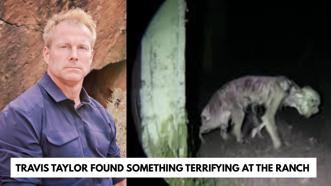 YouTube Thumbnail Downloader FULL HQ IMAGE