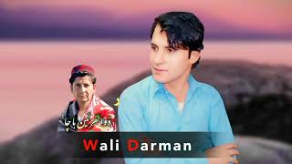 Download lagu wali darman new song 2024 | pashto New Song 2024 | Za Aoo Zamaa Bahkat | wali darman mp3